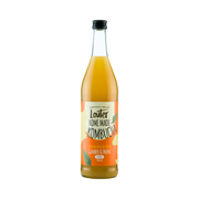 Louter Kombucha Gember & Munt